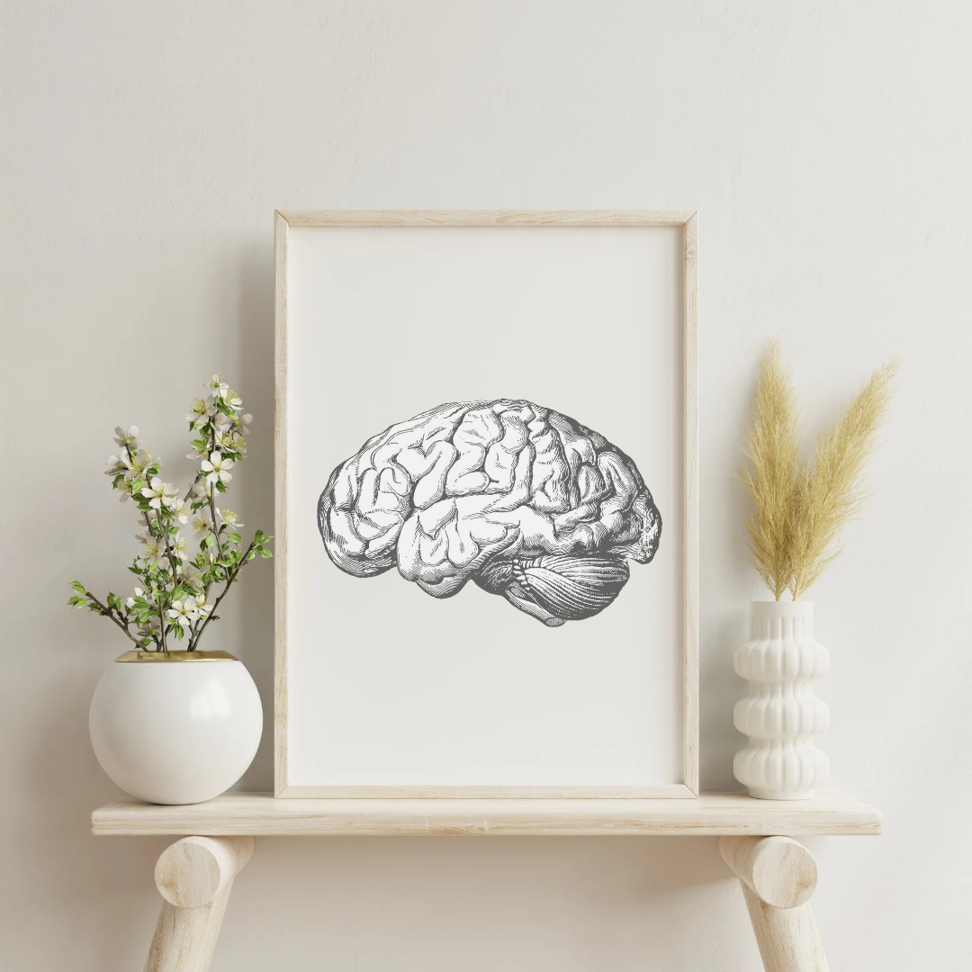 22 Laminas anatómicas descargables decorativas